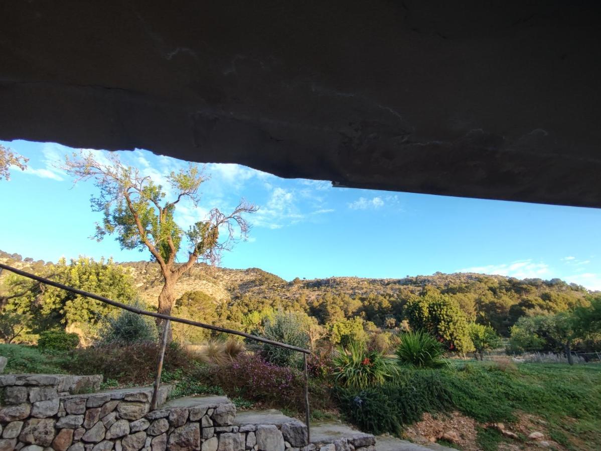 Subies Estada en una granja