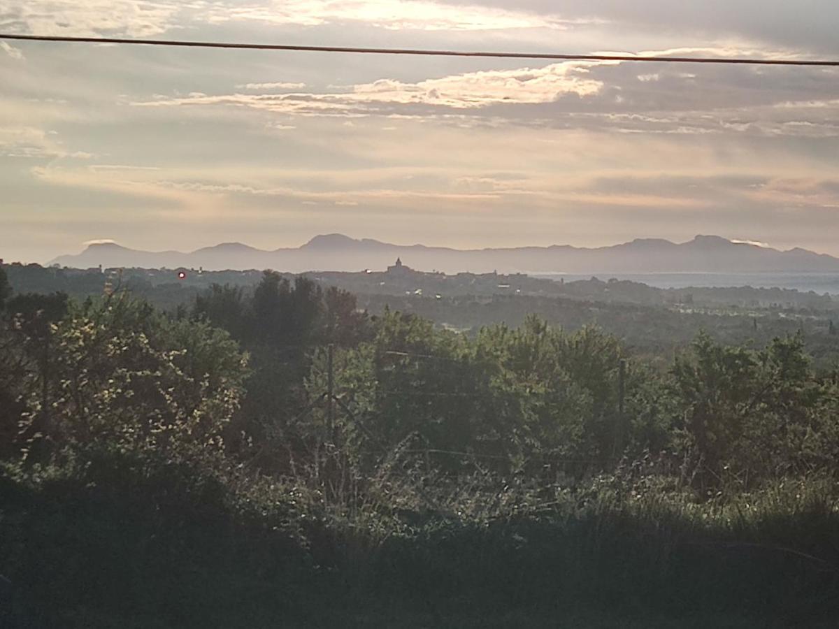 Subies Bauernhof Selva (Mallorca)